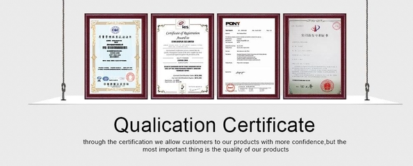 China First (Shenzhen) Display Packaging Co.,Ltd Certificações
